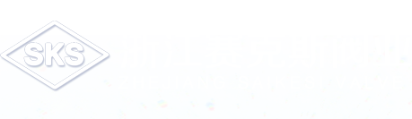 浙江赛克斯阀业